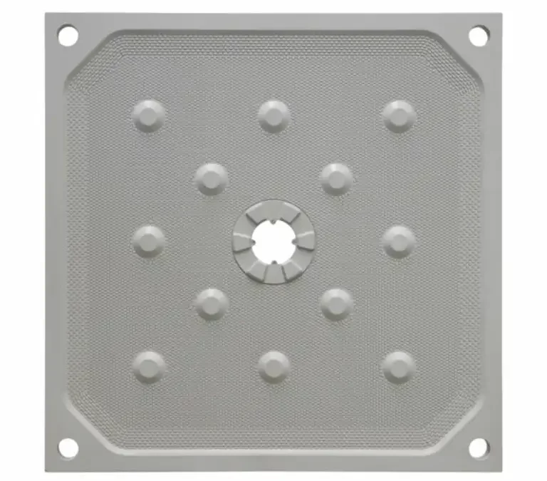 What Special Functions Can Customized Filter Plates Be Customized with?